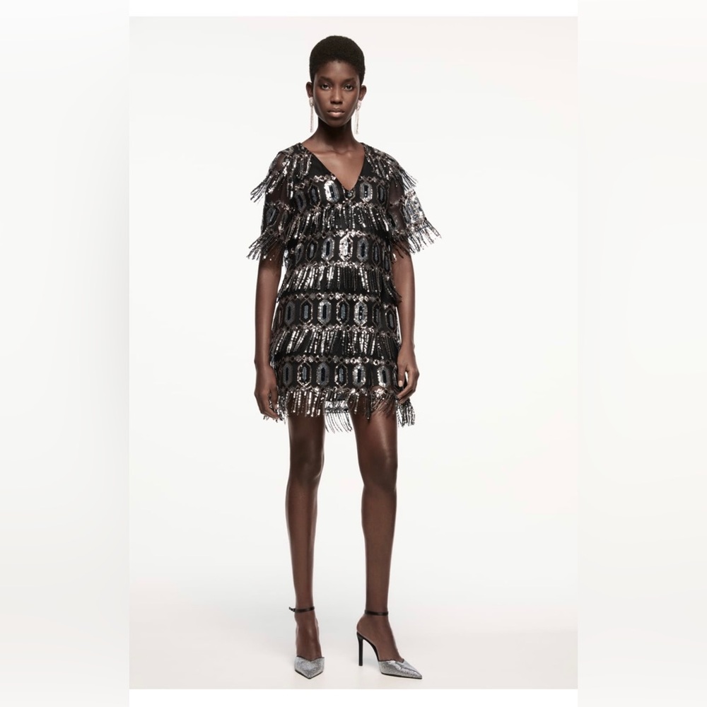 Zara sequin dress with fringe